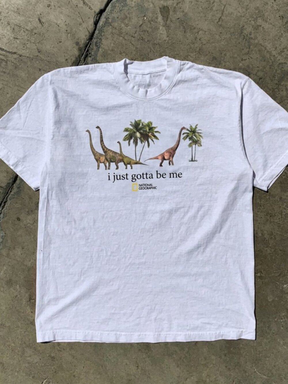 National Geographic Dinosaur T-Shirt Green Gildan Cotton I Just Gotta Be Me